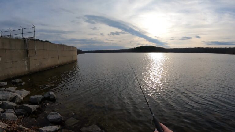 10 Largest Illinois Lakes for Fishing - Top Spots for Anglers 2025