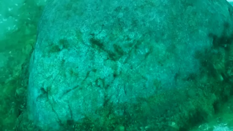 A close-up of a stone from the submerged formation in Lake Michigan