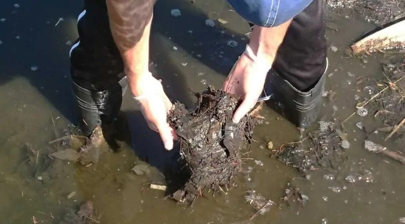 Remove Muck Without Dredging