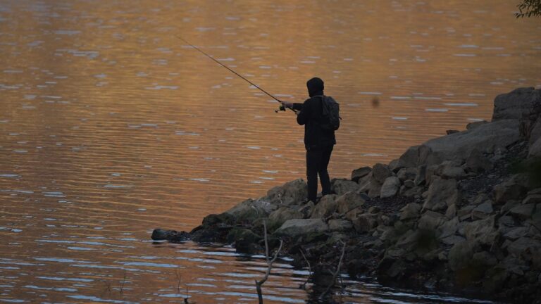 Lake Michigan Fishing