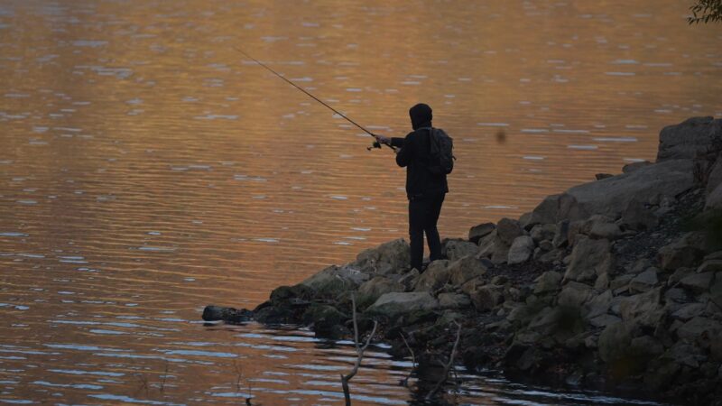Lake Michigan Fishing